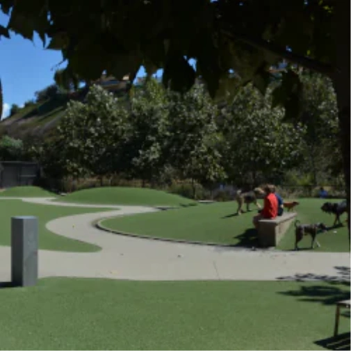 What to Consider Before You Spec a Dog Park Surface in Charlotte