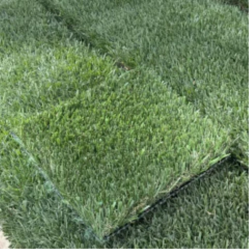 Introducing Wide Blade Turf in Charlotte