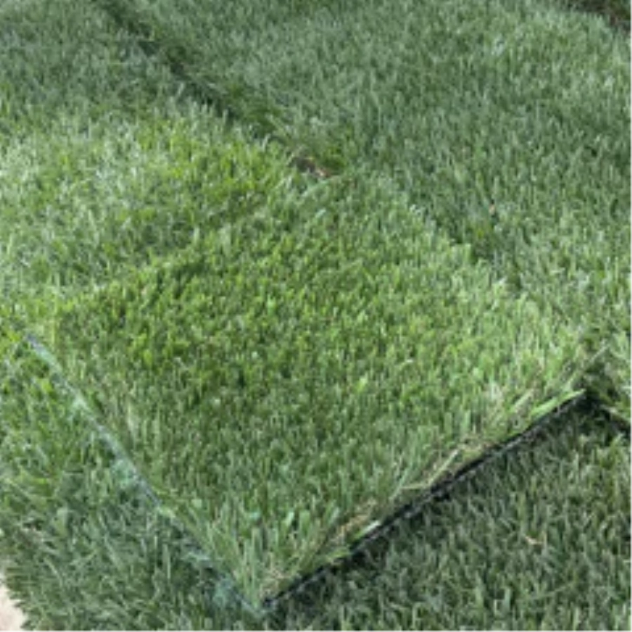 Introducing Wide Blade Turf in Charlotte