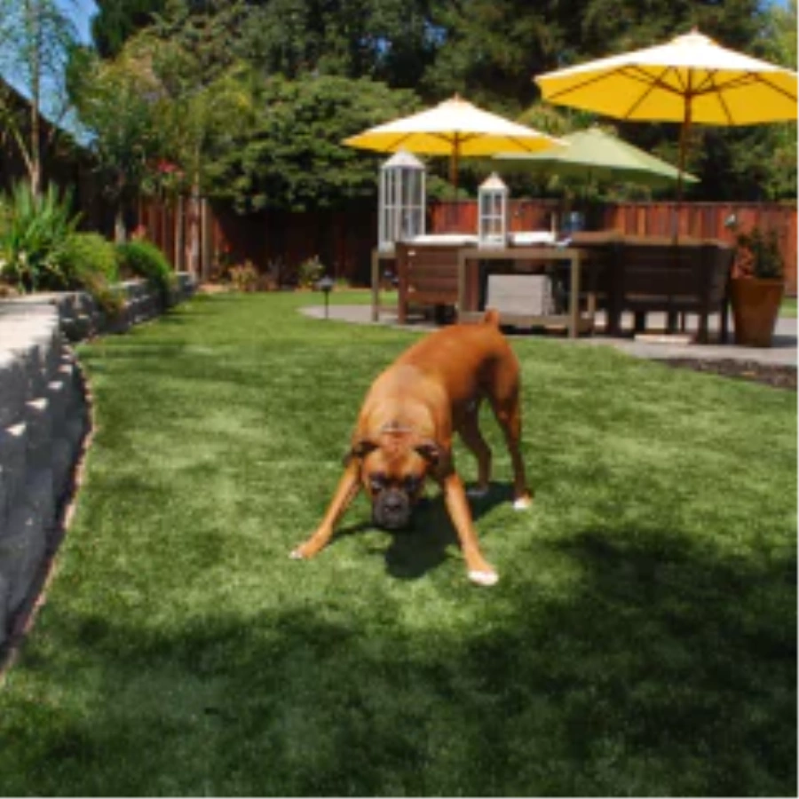 Ways fake grass for dogs Completely Changes Your [[targetlocaiton]] Outdoor Space