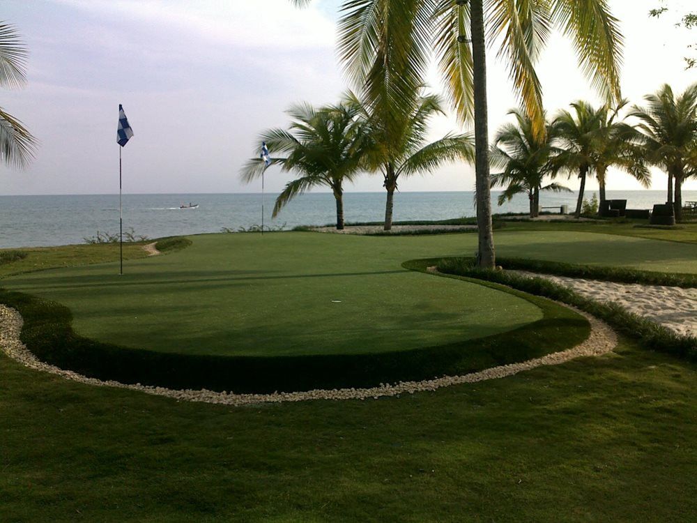 Charlotte artificial grass landscaping