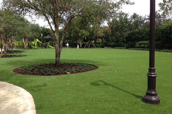 Charlotte commercial artificial grass landscaping